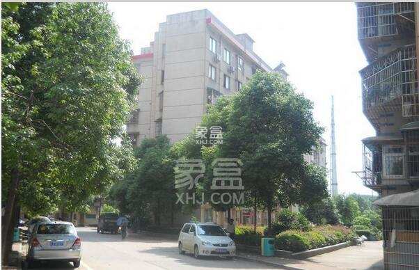 新天小区 2室1厅1卫 1200.0元/月 新天小区 2室1厅1卫 1200.0元/月小区图