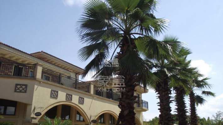 水映加州 水映加州室内图2