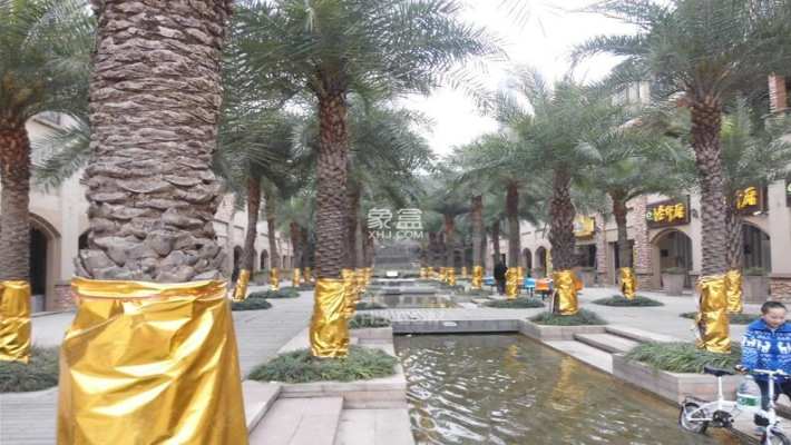 中城丽景香山园 中城丽景香山园室内图2