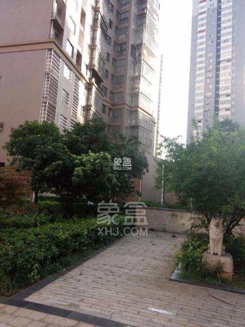 筑梦园 筑梦园室内图1