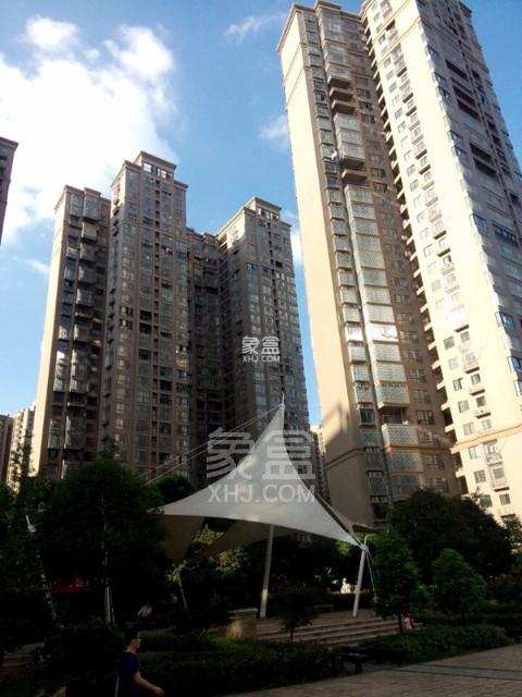 筑梦园 筑梦园室内图2