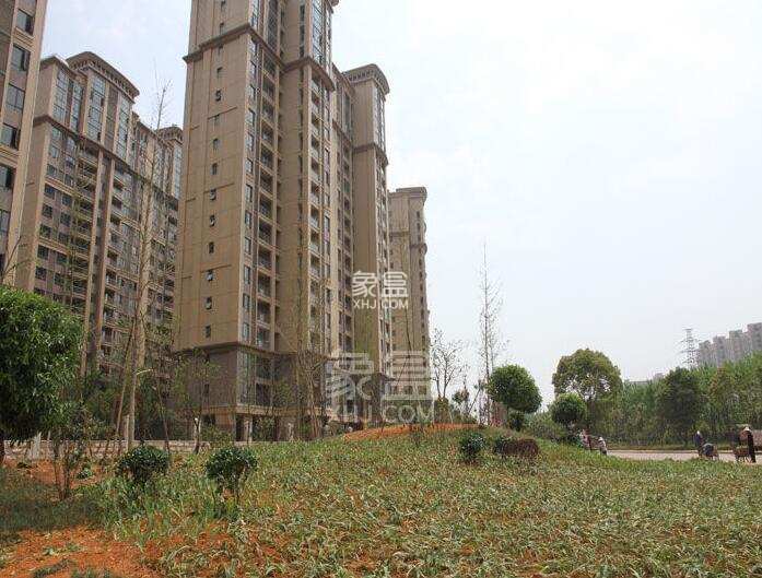 新华都万家城 3室2厅1卫 3000.0元/月 新华都万家城 3室2厅1卫 3000.0元/月小区图