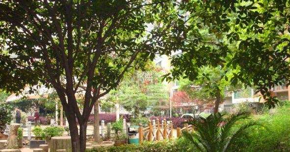 曙光大邸 曙光大邸室内图2