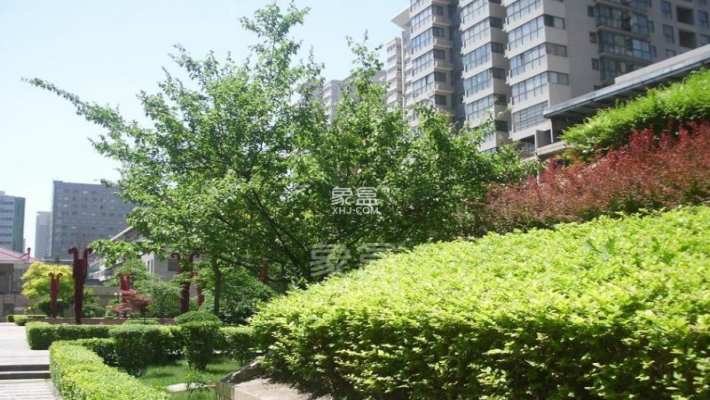 美立方 美立方室内图2