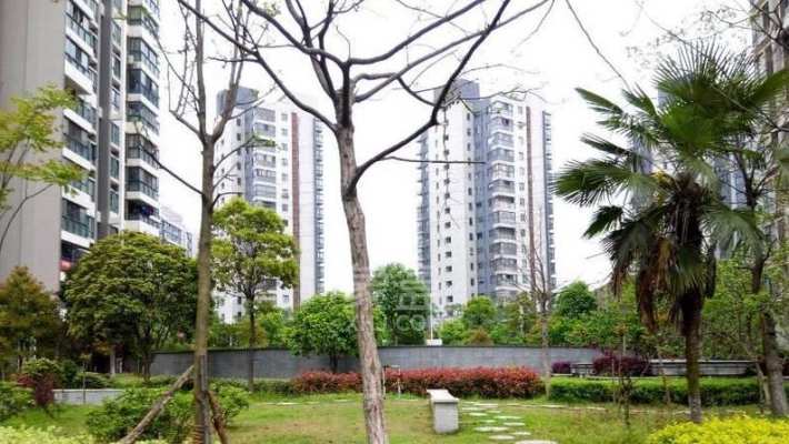 凯乐湘园 凯乐湘园室内图2