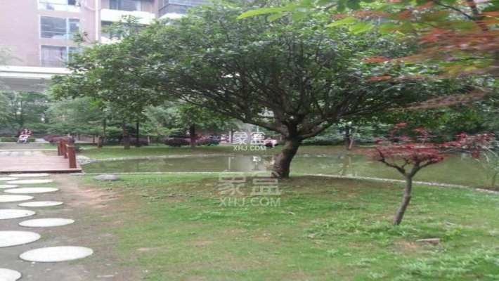 凯乐湘园 凯乐湘园室内图2