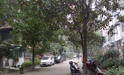 东广济桥社区 1室1厅1卫 1500.0元/月 东广济桥社区 1室1厅1卫 1500.0元/月小区图