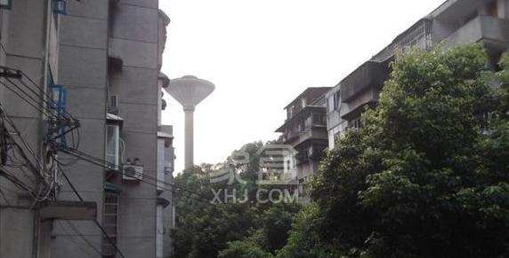 凯达园 凯达园室内图2