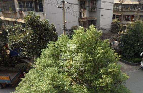 凯达园 凯达园室内图2