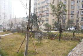 谷山乐园一期 谷山乐园一期