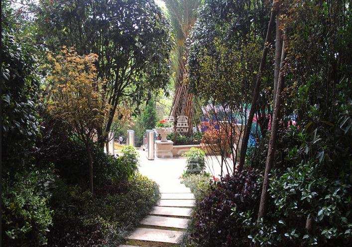 山水誉峰 山水誉峰室内图2