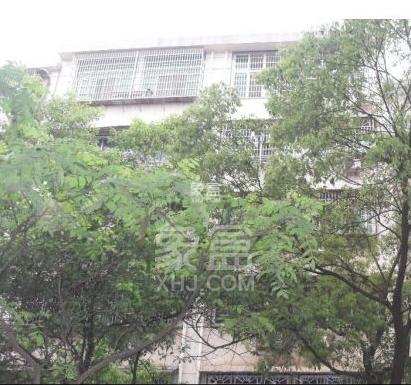 观枫园 观枫园室内图2