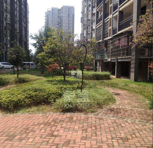 含浦家苑 4室2厅2卫 1680.0元/月 含浦家苑 4室2厅2卫 1680.0元/月小区图