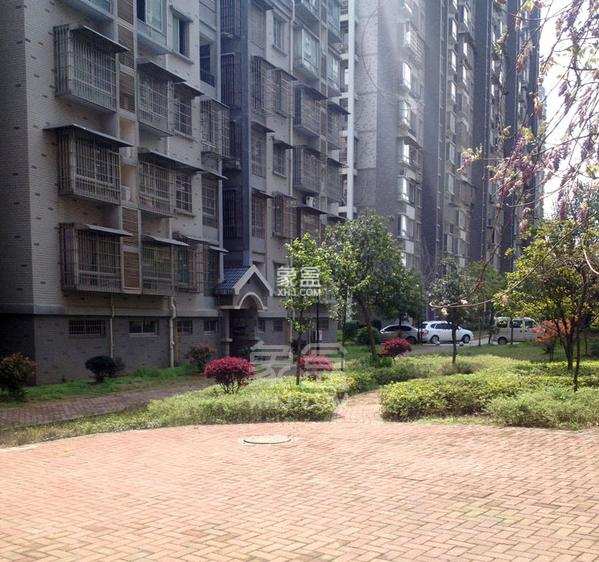 含浦家苑 4室2厅2卫 1680.0元/月 含浦家苑 4室2厅2卫 1680.0元/月小区图