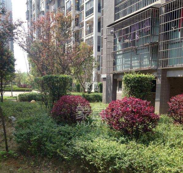 含浦家苑 4室2厅2卫 1680.0元/月 含浦家苑 4室2厅2卫 1680.0元/月小区图