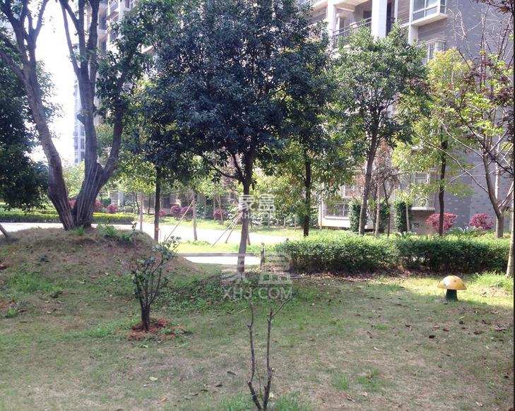 含浦家苑 4室2厅2卫 1680.0元/月 含浦家苑 4室2厅2卫 1680.0元/月小区图