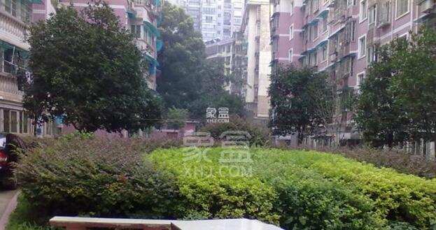 景芳苑 景芳苑室内图2