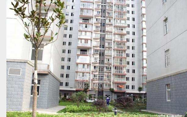 景江雅苑 景江雅苑室内图2