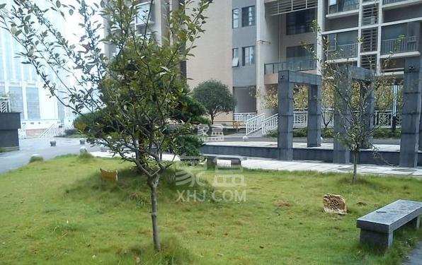 岳泰理想城  3室2厅1卫    3000.0元/月 岳泰理想城  3室2厅1卫    3000.0元/月小区图