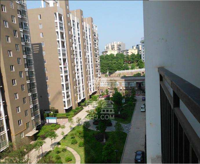 万丽景园 万丽景园室内图2