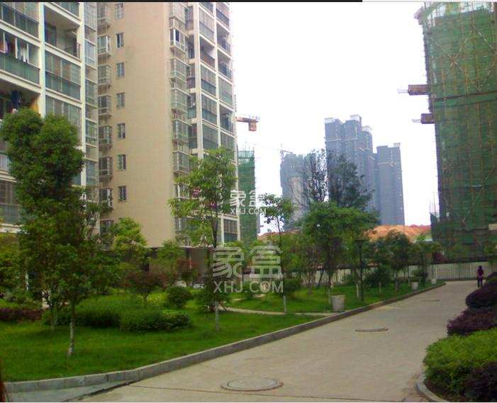 万丽景园 万丽景园室内图2