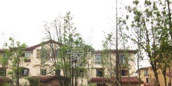 莲湖汽车饰品城(莲湖公寓) 莲湖汽车饰品城(莲湖公寓)室内图2