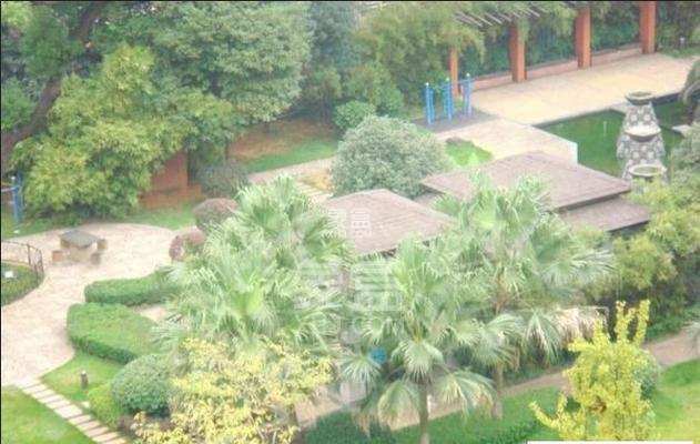 地税五分局小区  3室2厅2卫    2600.0元/月 地税五分局小区  3室2厅2卫    2600.0元/月小区图