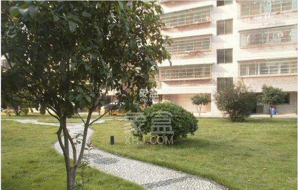 银路家园(公路局单位房)  3室2厅2卫    1350.0元/月 银路家园(公路局单位房)  3室2厅2卫    1350.0元/月小区图