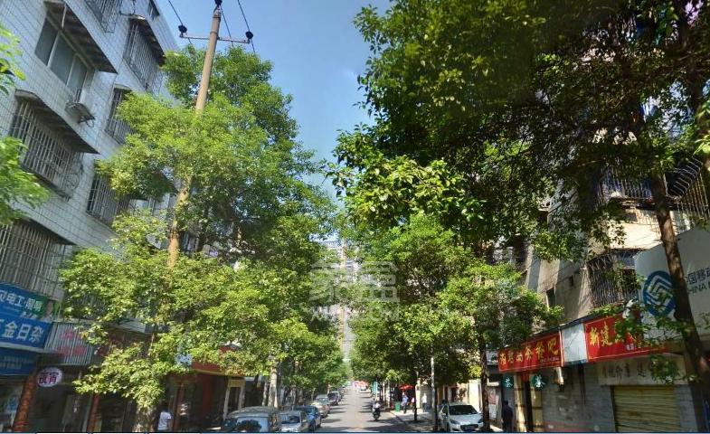 长征社区大坪路18号室内图2