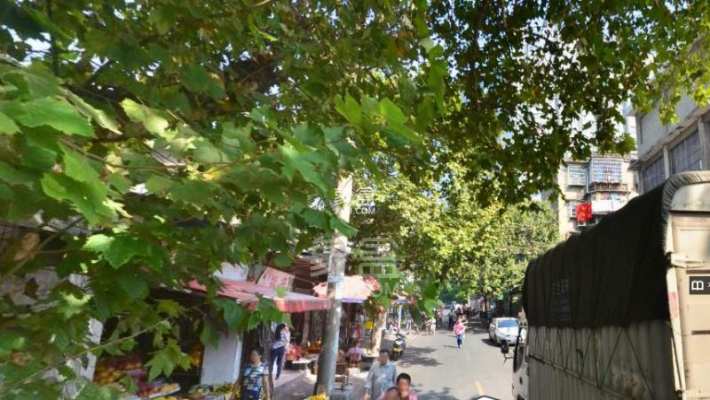 御华府 御华府室内图2