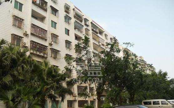 新新海岸 新新海岸室内图2