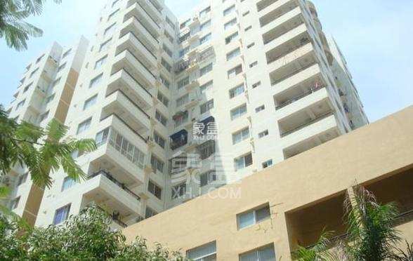 新新海岸 新新海岸室内图2