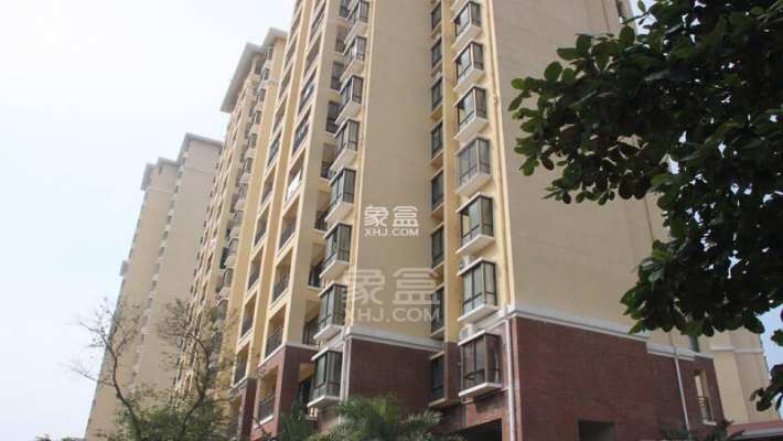 郁金香花园 郁金香花园室内图2