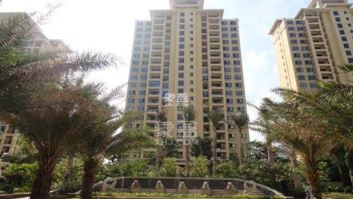 郁金香花园 郁金香花园室内图2