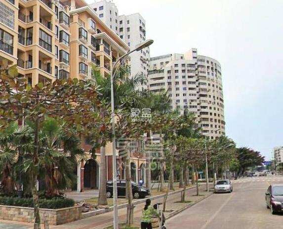 郁金香花园 郁金香花园室内图2