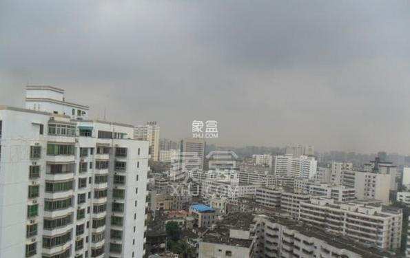 金棕苑 金棕苑室内图2