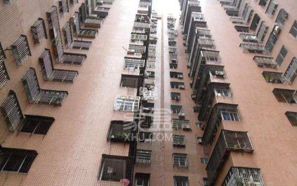 金棕苑 金棕苑室内图2