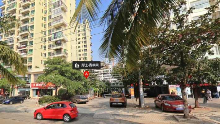 厚土青苹果 厚土青苹果室内图2