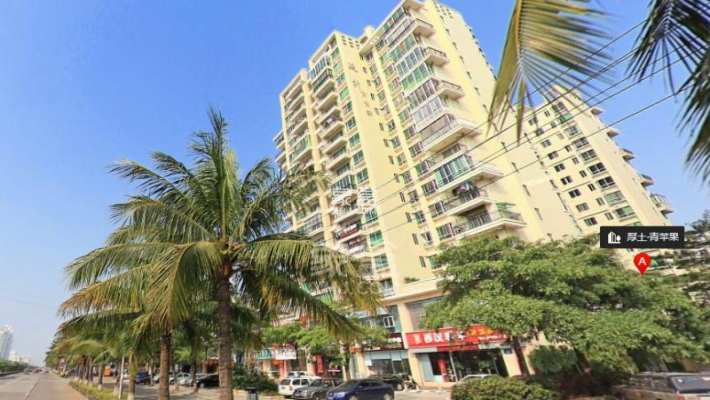 厚土青苹果 厚土青苹果室内图2