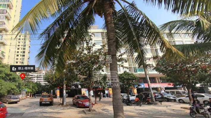 厚土青苹果 厚土青苹果室内图2