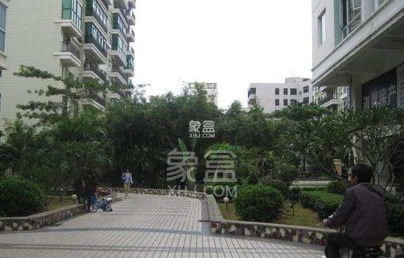 厚土青苹果 厚土青苹果室内图2