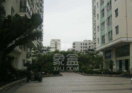 厚土青苹果 厚土青苹果室内图2