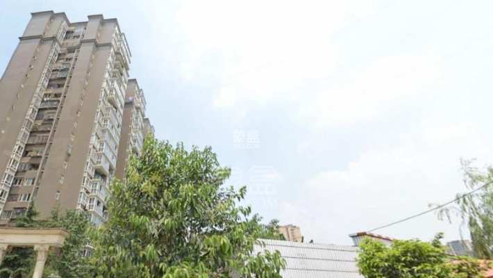 映日荷花 映日荷花室内图2