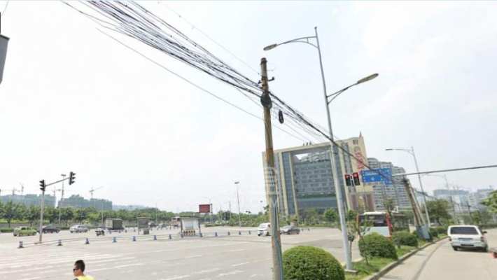 映日荷花 映日荷花室内图2