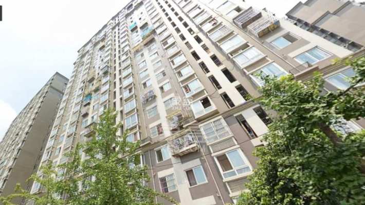 映日荷花 映日荷花室内图2