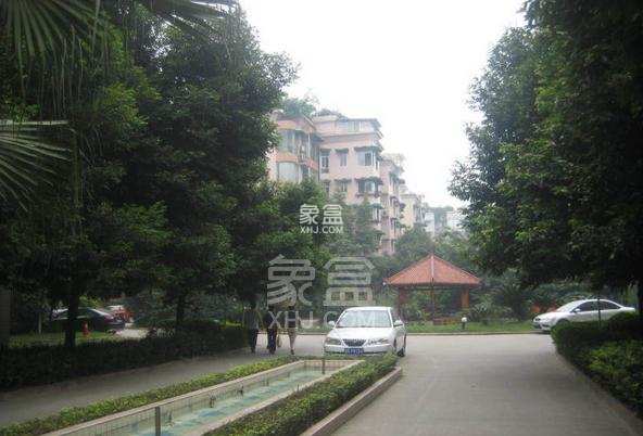 二十一世纪花园4期 二十一世纪花园4期室内图2