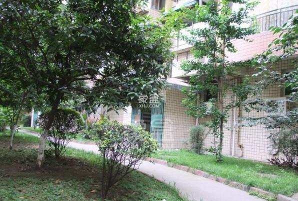 二十一世纪花园4期 二十一世纪花园4期室内图2