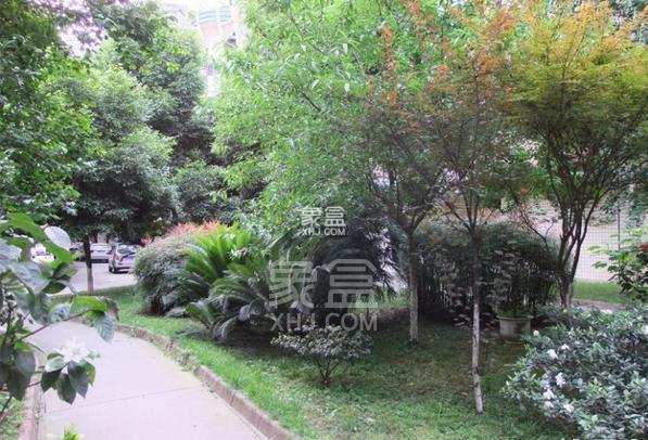 二十一世纪花园4期 二十一世纪花园4期室内图2