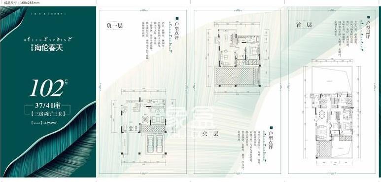 海伦春天户型图