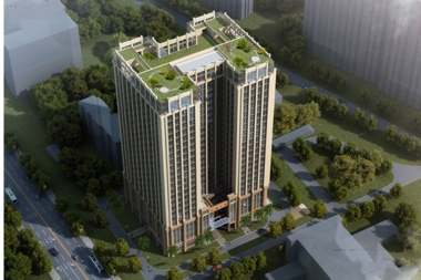 红社会
